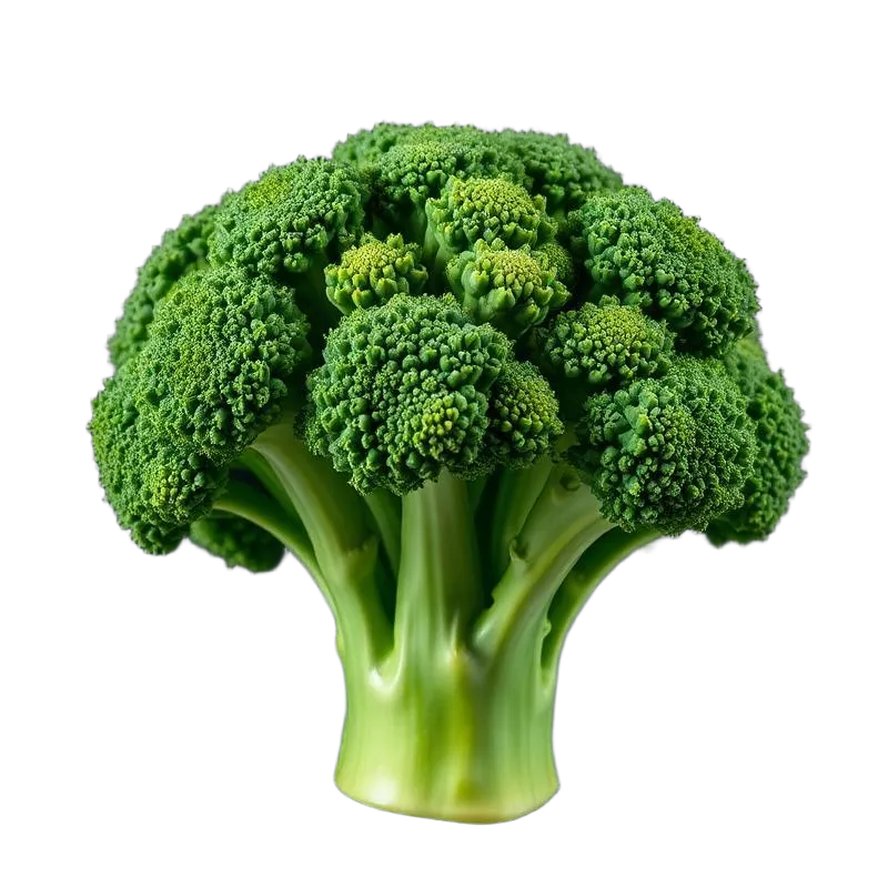 Fresh Harvest