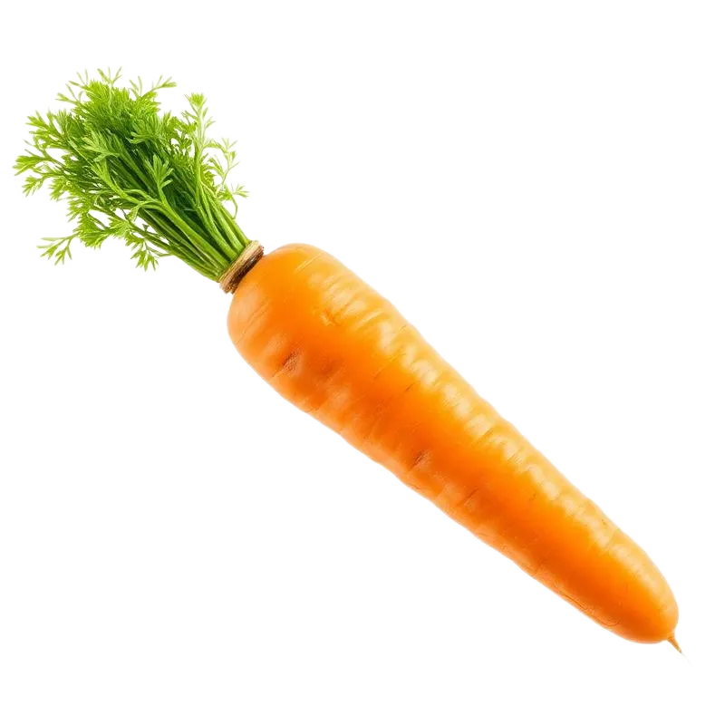 Carrot Front